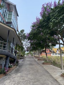 1258465C-BB0E-4A80-A05A-EE86A4C802C4