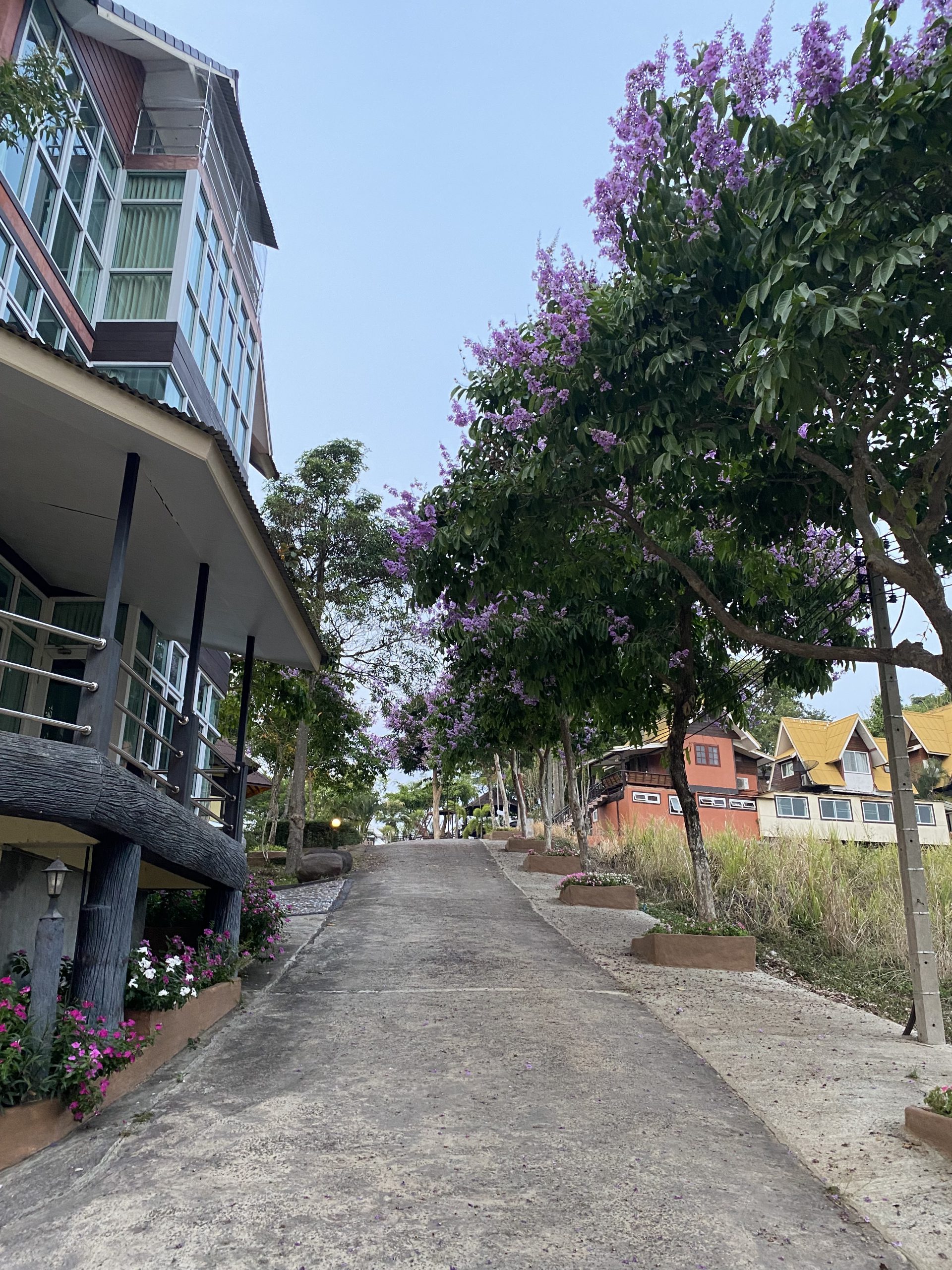 1258465C-BB0E-4A80-A05A-EE86A4C802C4