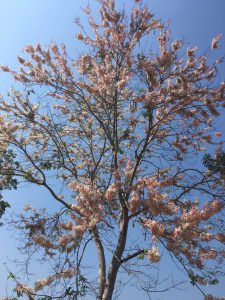 1F3BEDFE-605E-4731-905E-A467F33772A8