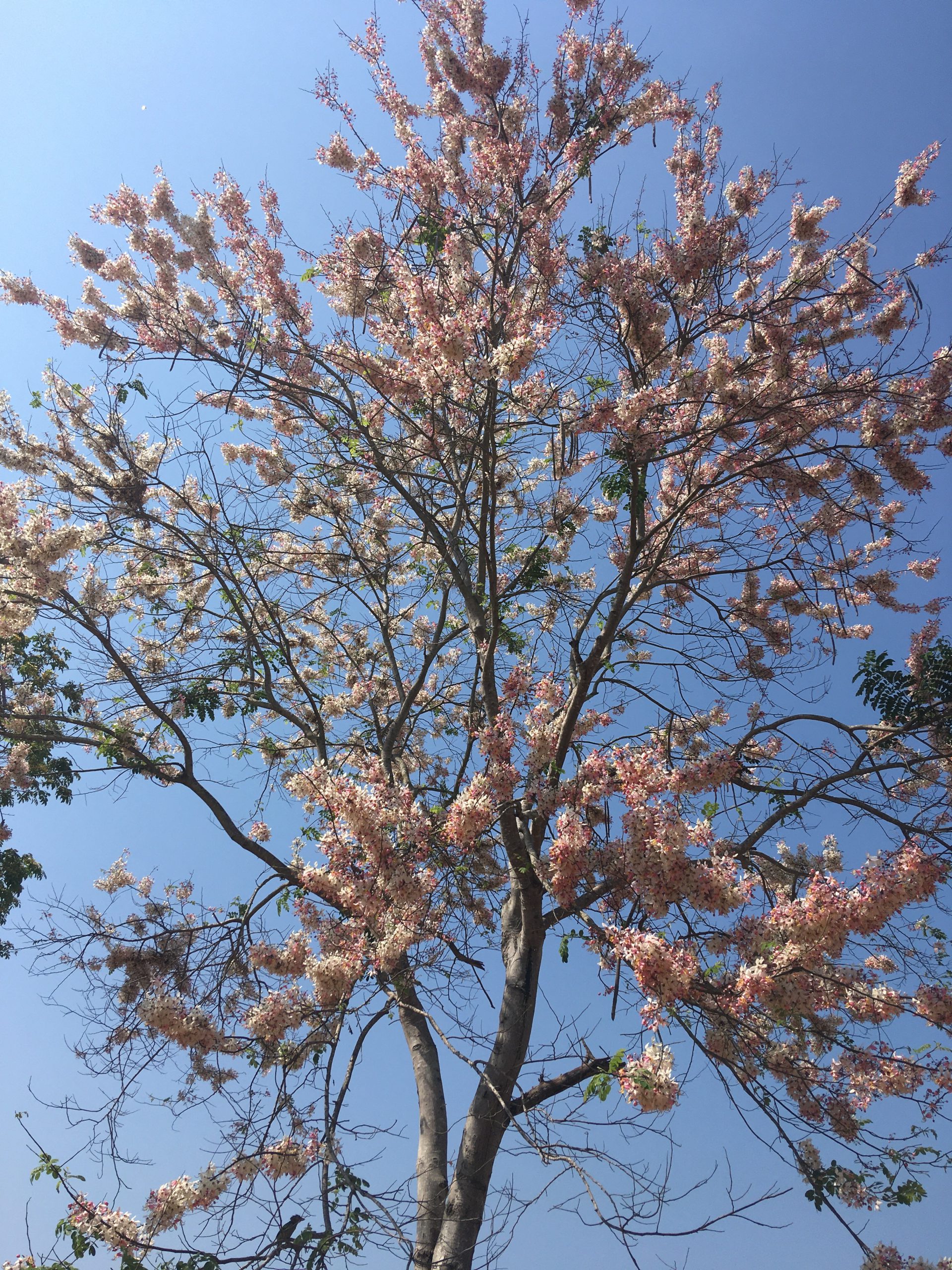 1F3BEDFE-605E-4731-905E-A467F33772A8