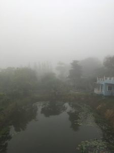 29ED9012-59CA-47B1-925C-09C6CCDFAF28