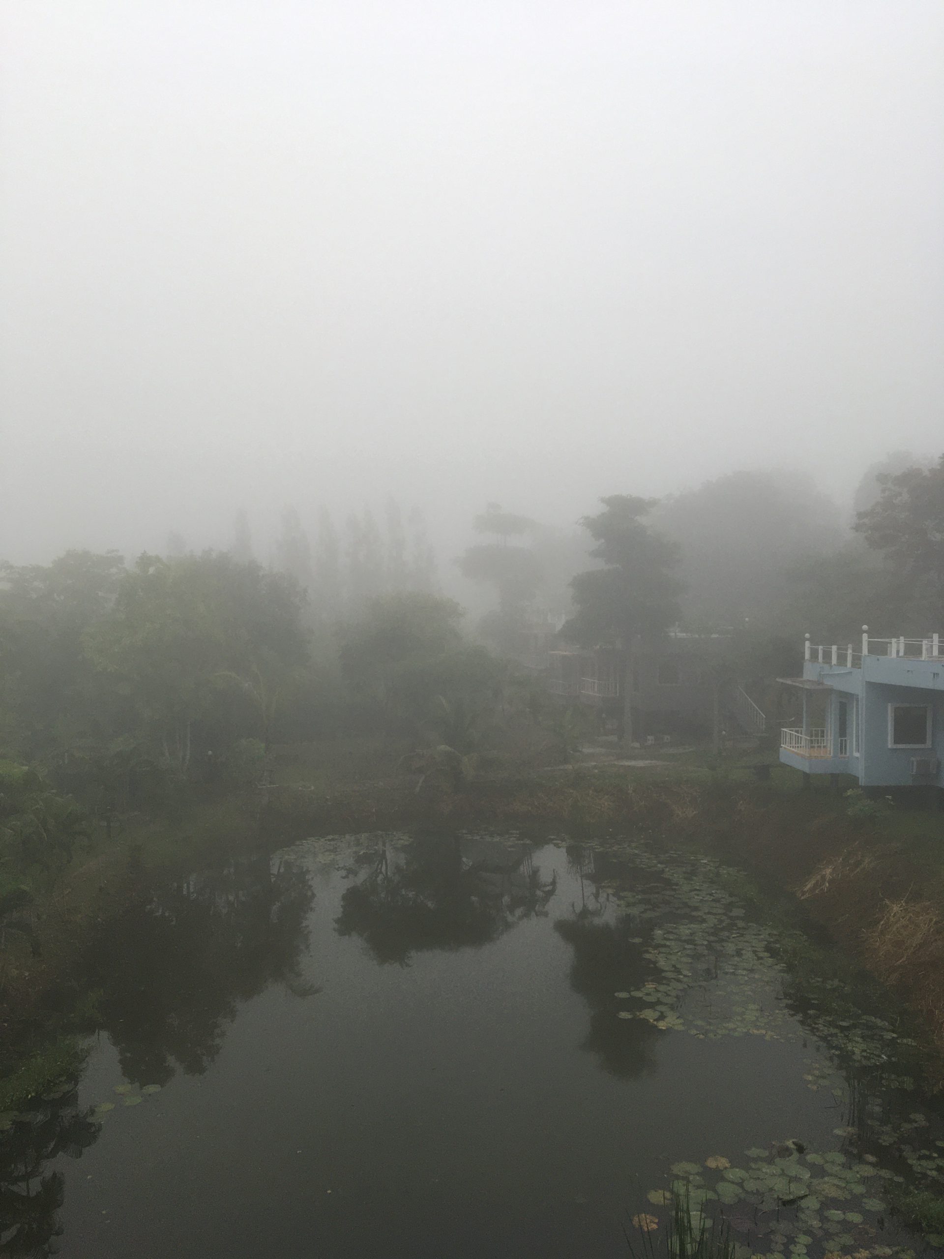 29ED9012-59CA-47B1-925C-09C6CCDFAF28