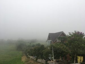 2C787510-7F13-4308-B07D-394FCEE99858