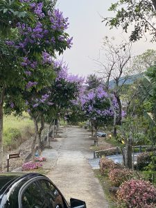 บรรยากาศล่าสุดร้อนนี้