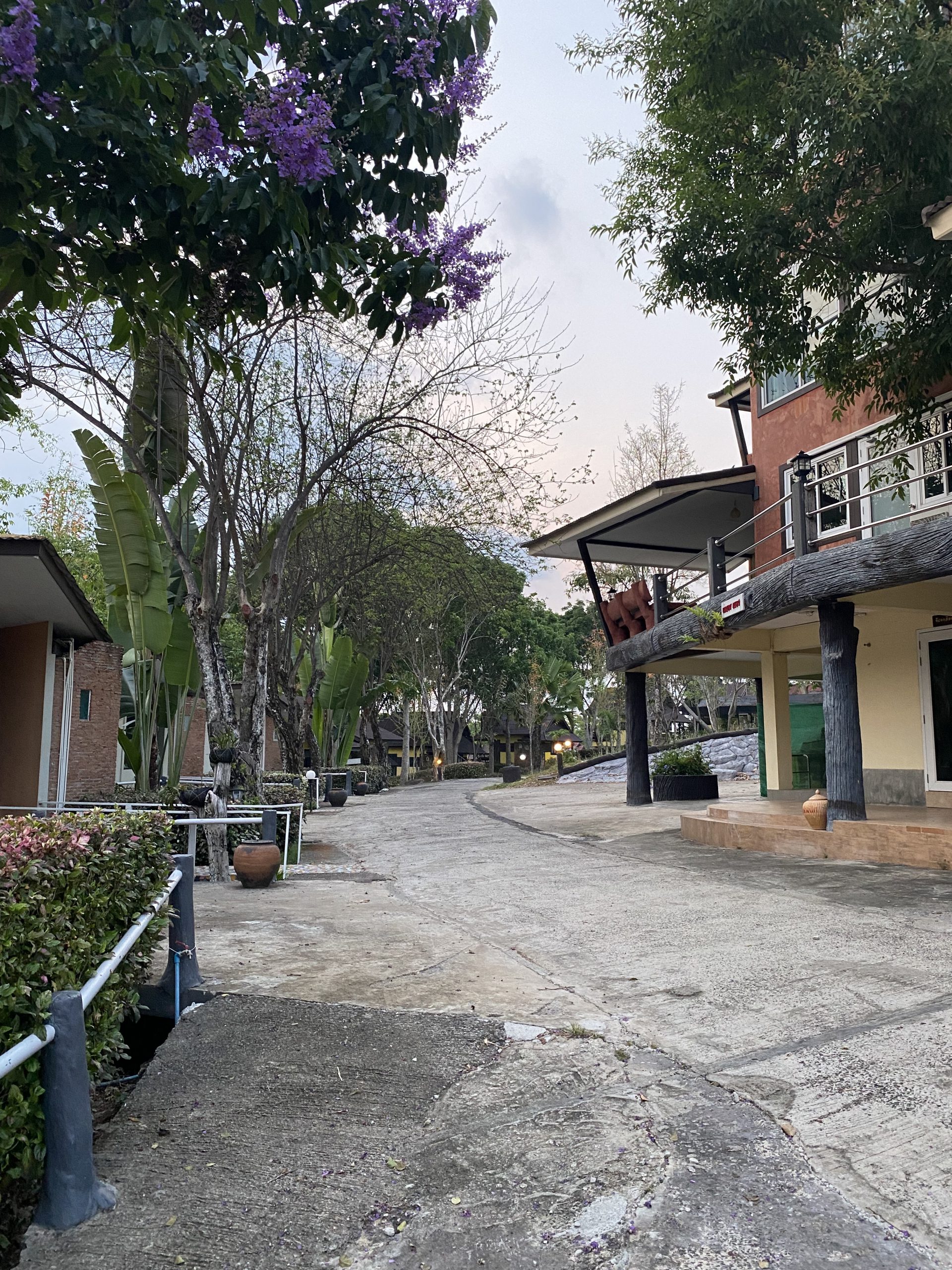 61DA2130-4FEF-44A1-A94B-7AB718178382