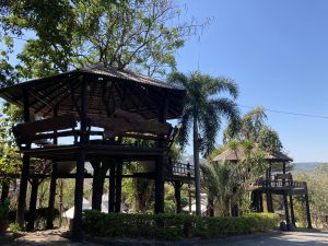 6AB9F1A1-E46F-4169-8DFA-97CBFC9A891B