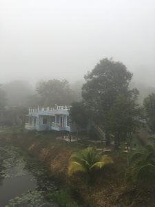 93DEDE15-5932-4F51-94ED-C45ED90296AF