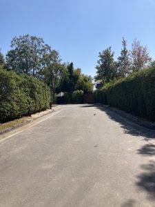 B424FEBD-1060-476C-A125-B16DA1D229A0