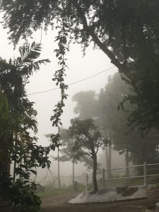 F7A00A33-848A-4D2F-B518-CF9D6B330370