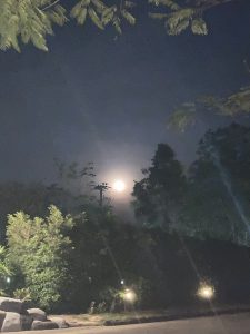 FA792A17-6137-4320-A53B-CFF2E34E4482