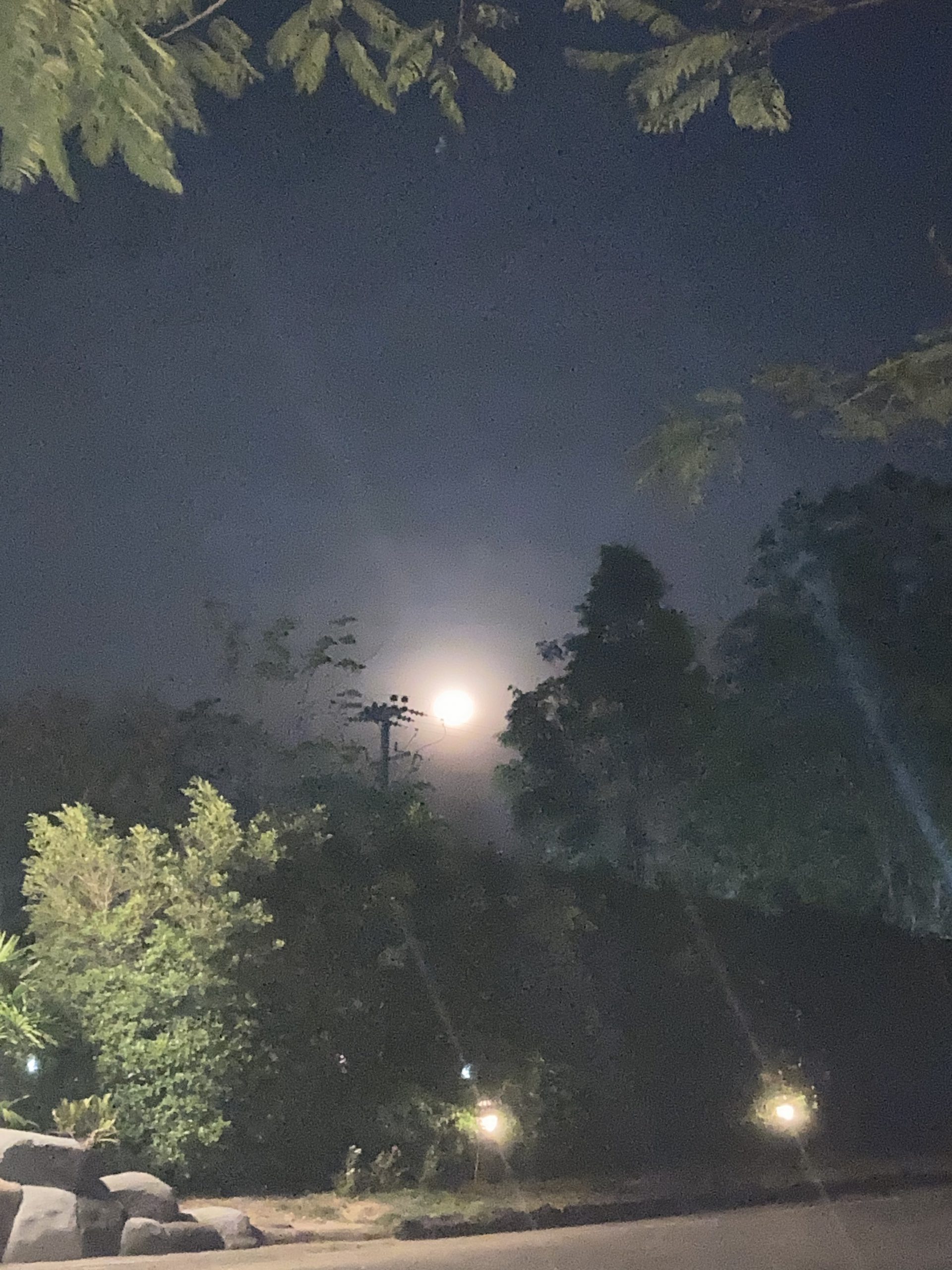 FA792A17-6137-4320-A53B-CFF2E34E4482