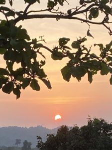 ท้องฟ้ายามพระอาทิตย์ใกล้ลับทิวเขาแผงม้า ทาบทับด้วยใบต้นจาน(ทองกวาว) ดูสวยงามดังภาพวาด บุหงาส่าหรีรีสอร์ท มีจุดถ่ายภาพสวยๆมากมายหลายที่ มากค่ะ ทั้งช่วงเช้า สาย บ่าย เย็น และใกล้ค่ำ มีโอกาสขอเรียนเชิญนะคะ