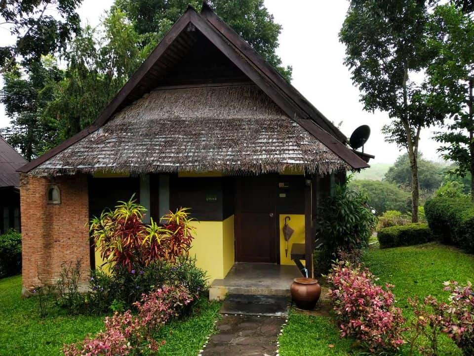 55849326_2241037529288362_6305378218094362624_o