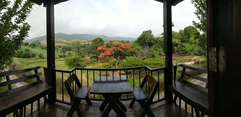 59525161_2302781159780665_1011891443079315456_o